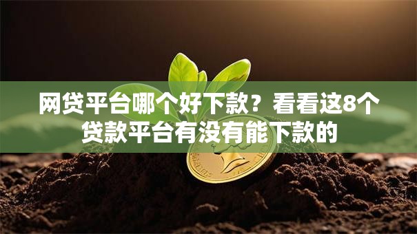 网贷平台哪个好下款？看看这8个贷款平台有没有能下款的