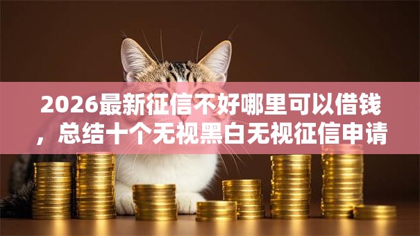 2026最新征信不好哪里可以借钱，总结十个无视黑白无视征信申请就下款的平台！