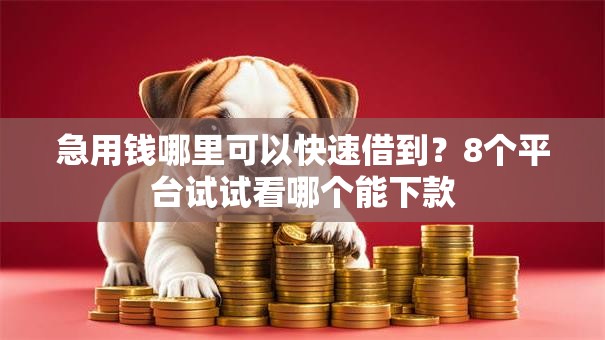 急用钱哪里可以快速借到？8个平台试试看哪个能下款