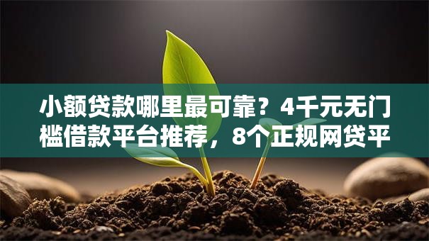 小额贷款哪里最可靠？4千元无门槛借款平台推荐，8个正规网贷平台排名不分先后盘点