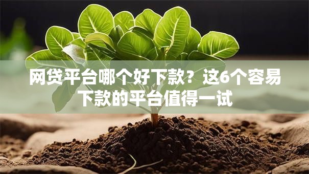 网贷平台哪个好下款?这6个容易下款的平台值得一试 网贷平台哪个好下款?这6个容易下款的平台值得一试