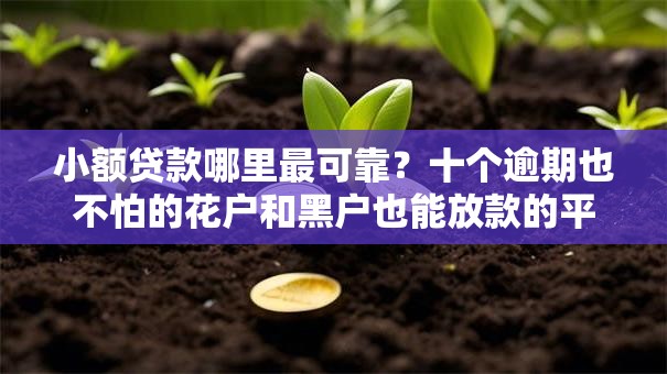 小额贷款哪里最可靠?十个逾期也不怕的花户和黑户也能放款的平台 小额贷款哪里最可靠?十个逾期也不怕的花户和黑户也能放款的平台