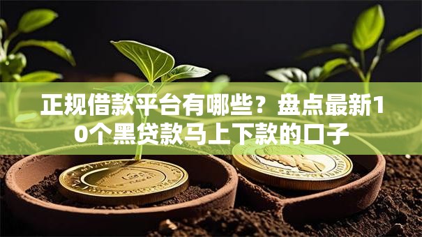 正规借款平台有哪些？盘点最新10个黑贷款马上下款的口子