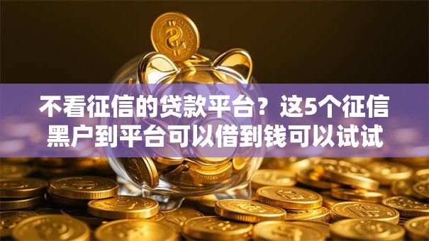 不看征信的贷款平台？这5个征信黑户到平台可以借到钱可以试试