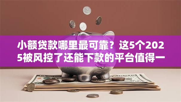 小额贷款哪里最可靠?这5个2025被风控了还能下款的平台值得一试 小额贷款哪里最可靠?这5个2025被风控了还能下款的平台值得一试
