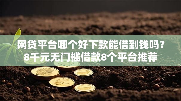 网贷平台哪个好下款能借到钱吗?8千元无门槛借款8个平台推荐 网贷平台哪个好下款能借到钱吗?8千元无门槛借款8个平台推荐
