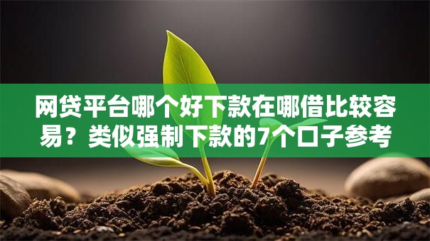 网贷平台哪个好下款在哪借比较容易？类似强制下款的7个口子参考