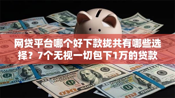 网贷平台哪个好下款拢共有哪些选择?7个无视一切包下1万的贷款详解 网贷平台哪个好下款拢共有哪些选择?7个无视一切包下1万的贷款详解