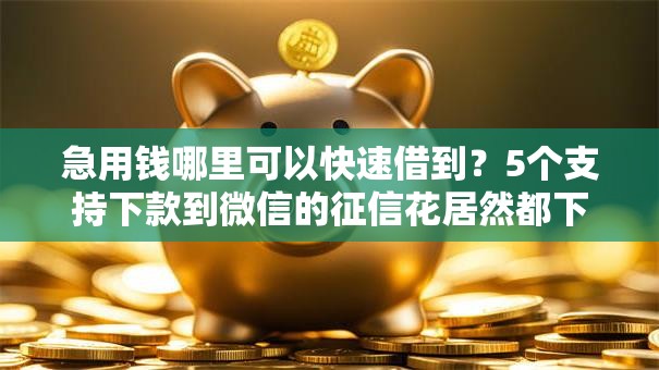 急用钱哪里可以快速借到?5个支持下款到微信的征信花居然都下款的平台 急用钱哪里可以快速借到?5个支持下款到微信的征信花居然都下款的平台