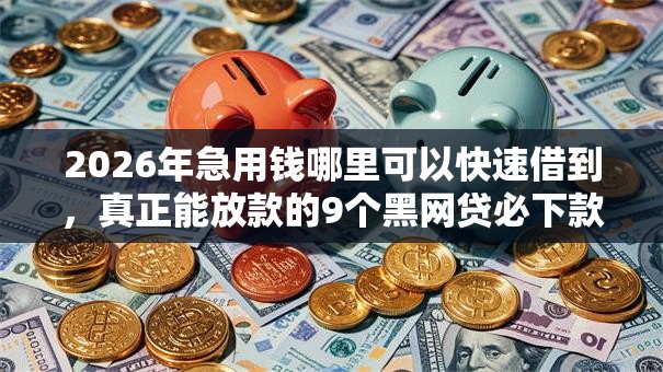 2026年急用钱哪里可以快速借到，真正能放款的9个黑网贷必下款口子推荐