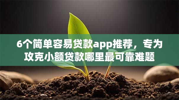 6个简单容易贷款app推荐，专为攻克小额贷款哪里最可靠难题