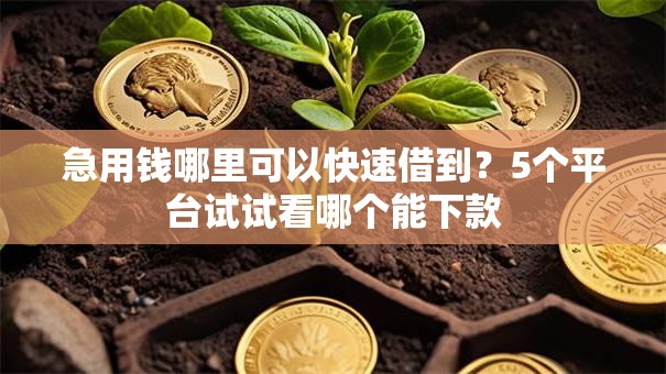 急用钱哪里可以快速借到?5个平台试试看哪个能下款 急用钱哪里可以快速借到?5个平台试试看哪个能下款