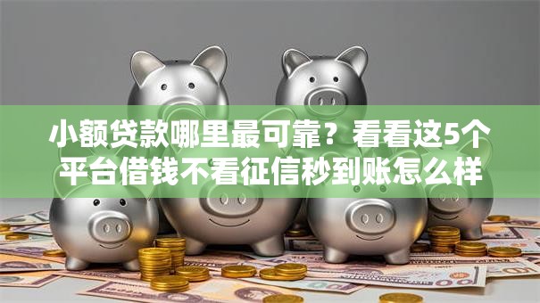 小额贷款哪里最可靠?看看这5个平台借钱不看征信秒到账怎么样 小额贷款哪里最可靠?看看这5个平台借钱不看征信秒到账怎么样