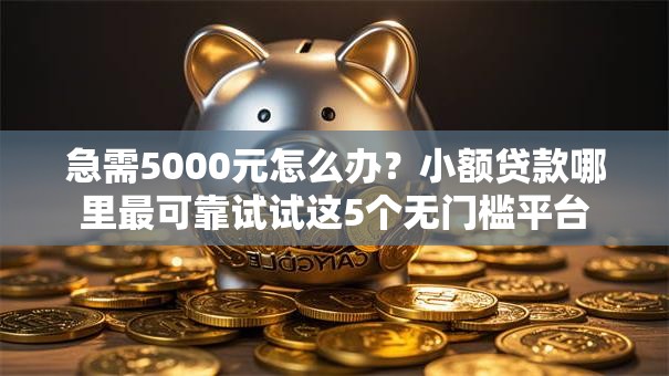 急需5000元怎么办?小额贷款哪里最可靠试试这5个无门槛平台 急需5000元怎么办?小额贷款哪里最可靠试试这5个无门槛平台