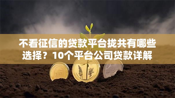 不看征信的贷款平台拢共有哪些选择？10个平台公司贷款详解