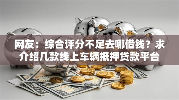 网友：综合评分不足去哪借钱？求介绍几款线上车辆抵押贷款平台