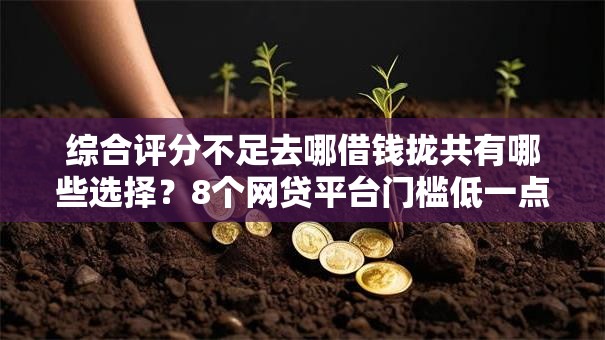 综合评分不足去哪借钱拢共有哪些选择?8个网贷平台门槛低一点的口子详解 综合评分不足去哪借钱拢共有哪些选择?8个网贷平台门槛低一点的口子详解