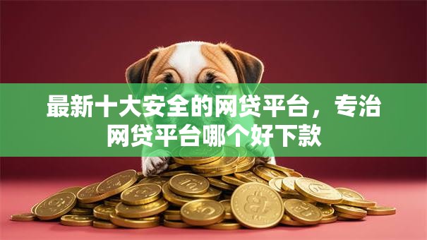 最新十大安全的网贷平台,专治网贷平台哪个好下款 最新十大安全的网贷平台,专治网贷平台哪个好下款
