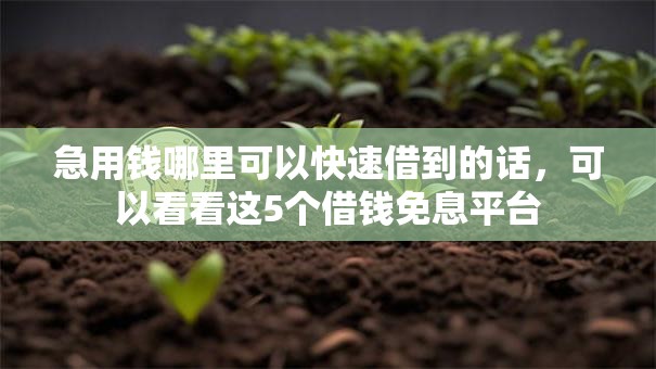 急用钱哪里可以快速借到的话,可以看看这5个借钱免息平台 急用钱哪里可以快速借到的话,可以看看这5个借钱免息平台