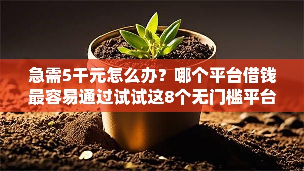 急需5千元怎么办?哪个平台借钱最容易通过试试这8个无门槛平台 急需5千元怎么办?哪个平台借钱最容易通过试试这8个无门槛平台