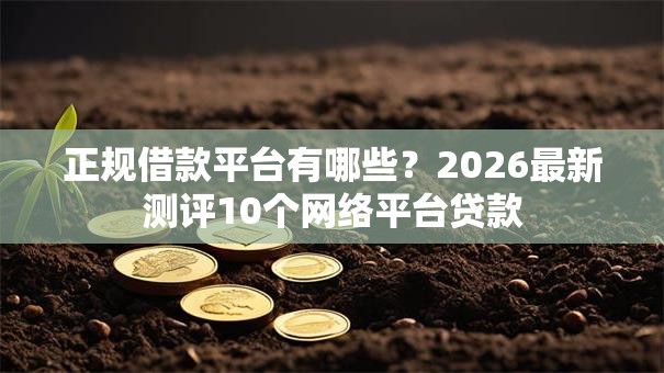 正规借款平台有哪些？2026最新测评10个网络平台贷款