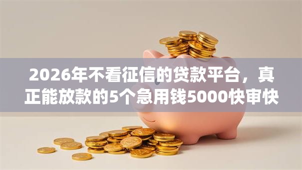 2026年不看征信的贷款平台，真正能放款的5个急用钱5000快审快贷无需征信app推荐