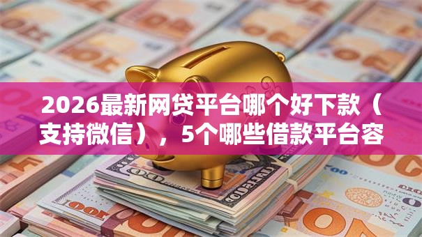 2026最新网贷平台哪个好下款（支持微信），5个哪些借款平台容易借到钱无私分享