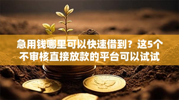 急用钱哪里可以快速借到？这5个不审核直接放款的平台可以试试