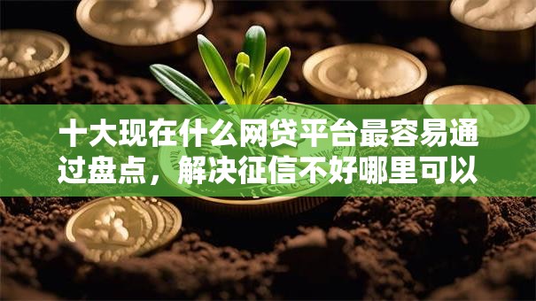 十大现在什么网贷平台最容易通过盘点，解决征信不好哪里可以借钱的问题