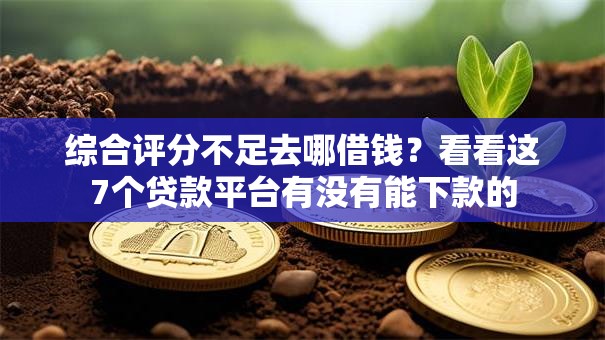 综合评分不足去哪借钱？看看这7个贷款平台有没有能下款的