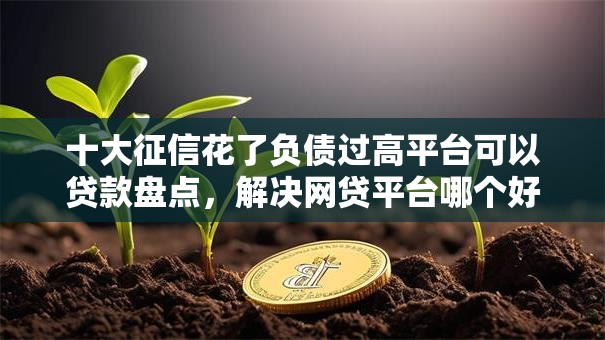 十大征信花了负债过高平台可以贷款盘点，解决网贷平台哪个好下款的问题