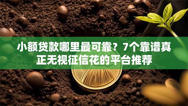 小额贷款哪里最可靠？7个靠谱真正无视征信花的平台推荐