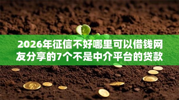 2026年征信不好哪里可以借钱网友分享的7个不是中介平台的贷款口子我觉得不错！