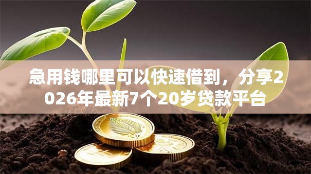 急用钱哪里可以快速借到，分享2026年最新7个20岁贷款平台