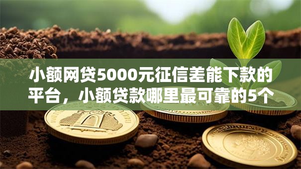 小额网贷5000元征信差能下款的平台，小额贷款哪里最可靠的5个平台介绍