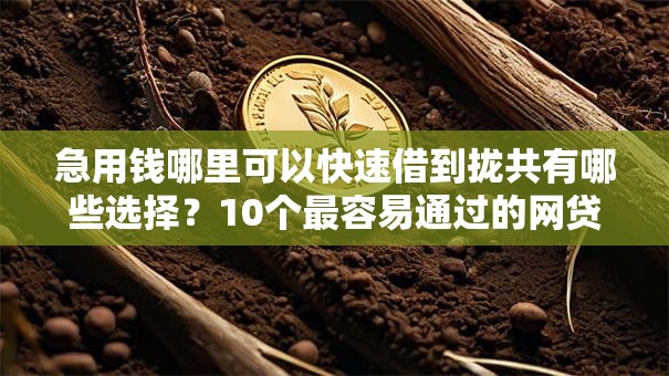 急用钱哪里可以快速借到拢共有哪些选择？10个最容易通过的网贷平台详解