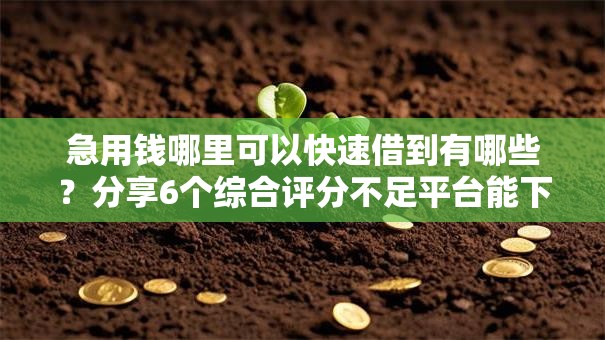 急用钱哪里可以快速借到有哪些?分享6个综合评分不足平台能下款 急用钱哪里可以快速借到有哪些?分享6个综合评分不足平台能下款