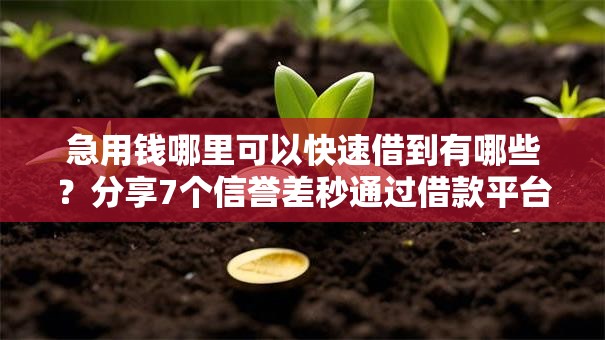 急用钱哪里可以快速借到有哪些?分享7个信誉差秒通过借款平台 急用钱哪里可以快速借到有哪些?分享7个信誉差秒通过借款平台
