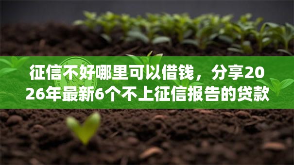 征信不好哪里可以借钱，分享2026年最新6个不上征信报告的贷款app