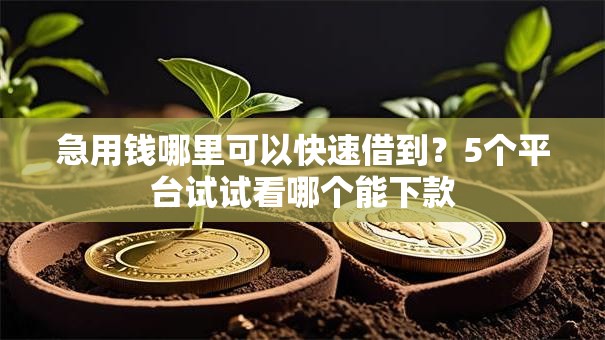 急用钱哪里可以快速借到？5个平台试试看哪个能下款