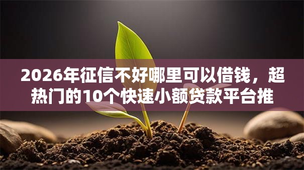 2026年征信不好哪里可以借钱，超热门的10个快速小额贷款平台推荐
