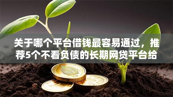 关于哪个平台借钱最容易通过，推荐5个不看负债的长期网贷平台给你