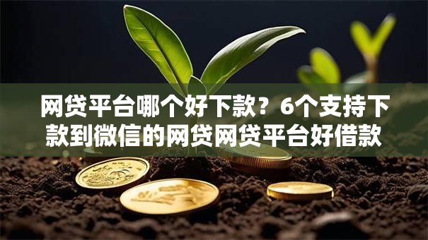 网贷平台哪个好下款?6个支持下款到微信的网贷网贷平台好借款 网贷平台哪个好下款?6个支持下款到微信的网贷网贷平台好借款