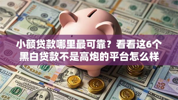 小额贷款哪里最可靠？看看这6个黑白贷款不是高炮的平台怎么样
