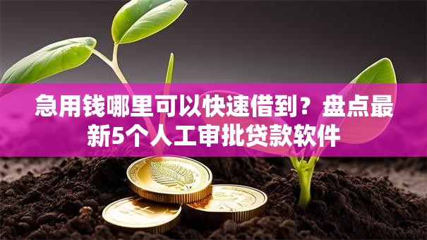 急用钱哪里可以快速借到？盘点最新5个人工审批贷款软件