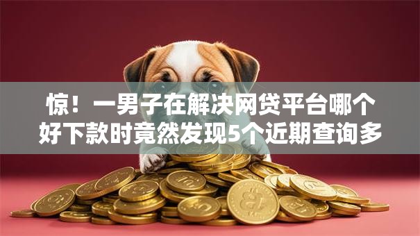 惊！一男子在解决网贷平台哪个好下款时竟然发现5个近期查询多负债高还能出额度的口子，事后分享了出来