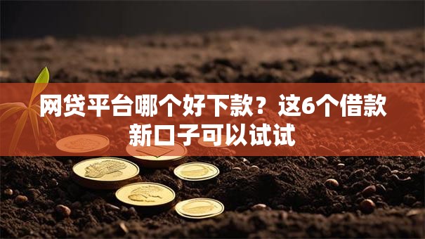 网贷平台哪个好下款？这6个借款新口子可以试试