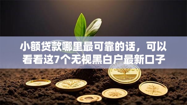 小额贷款哪里最可靠的话，可以看看这7个无视黑白户最新口子