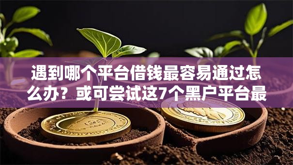 遇到哪个平台借钱最容易通过怎么办?或可尝试这7个黑户平台最容易借到钱 遇到哪个平台借钱最容易通过怎么办?或可尝试这7个黑户平台最容易借到钱
