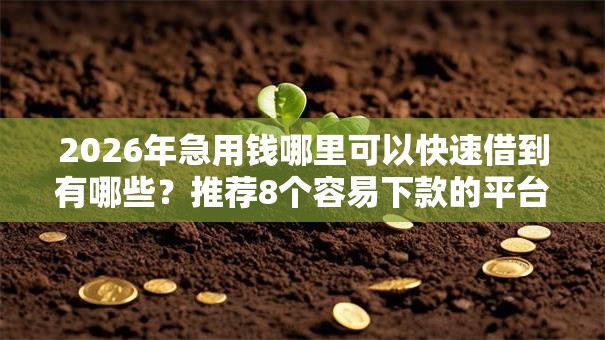 2026年急用钱哪里可以快速借到有哪些？推荐8个容易下款的平台